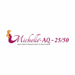 michelle-aq